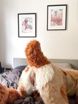 Hyena Butt