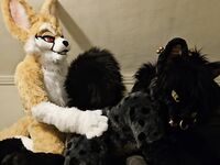 The Fen and Yeen