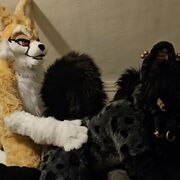TheFenAndYeen