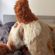 Fursuit Tailholes