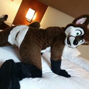 YiffMeDaddy