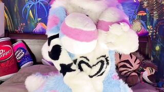 Sexy Female Murrsuiter